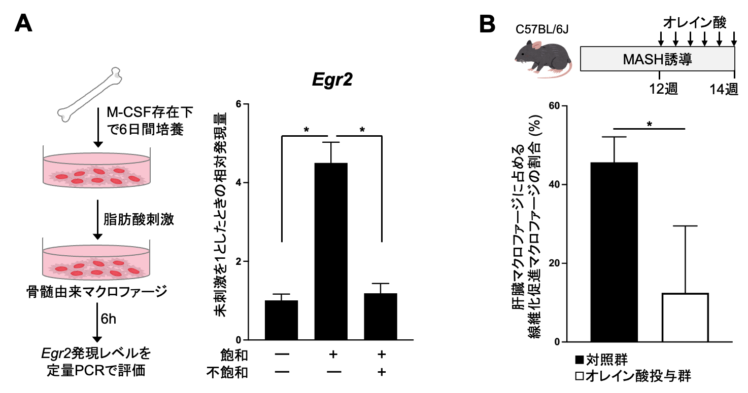 press_tanaka02.png