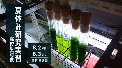 生命科学部のイベント情報を新たに2件公開しました｜高校生対象・教員対象