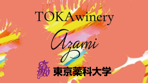 東京薬科大学と都下ワイナリーが初のコラボワインを開発～アザミの花由来の酵母が生む、トロピカル香る白ワイン「TOKAwinery azami」が発売～｜プレスリリース