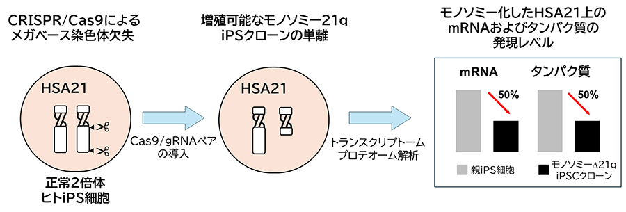 toyaku-press_20250115-1.jpg