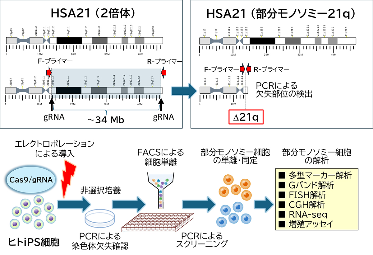 toyaku-press_20250115-2.jpg