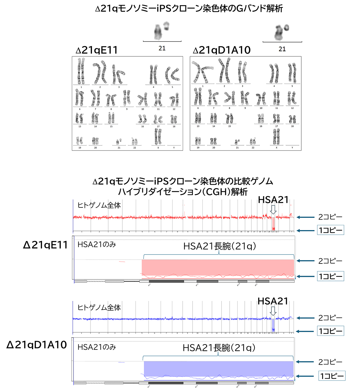 toyaku-press_20250115-4.jpg
