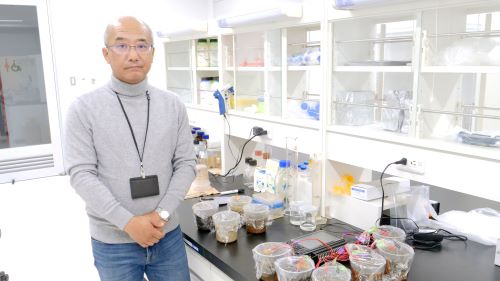 朝日新聞に生命科学部 渡邉 一哉 教授の微生物発電の研究に関する記事が掲載されました