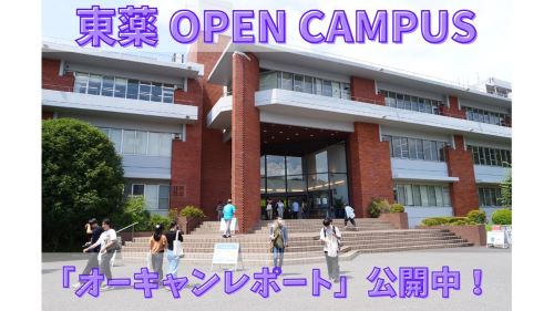 「オーキャンレポート」を公開しました