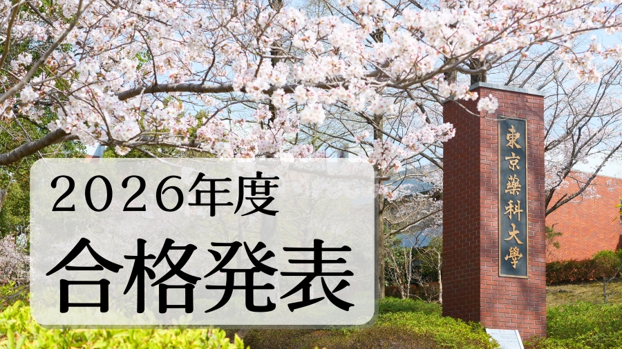 2026年度入学試験 総合型選抜 合格発表
