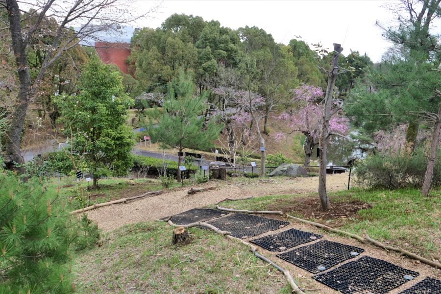 zyumokuen_001.jpg