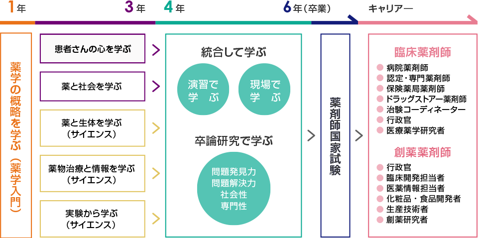 カリキュラム 教育活動 薬学部 大学院 薬学研究科 東京薬科大学