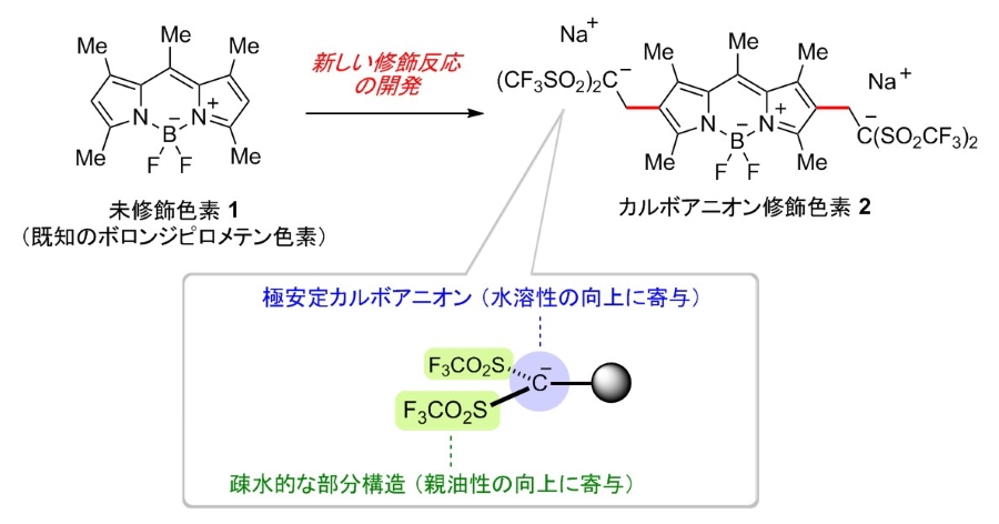 0218矢内_図1-900.jpg