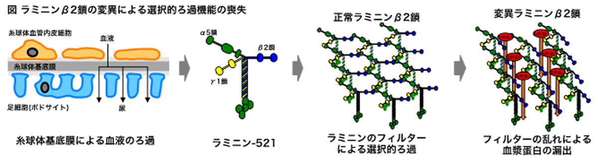 20210317-1400illust.jpg