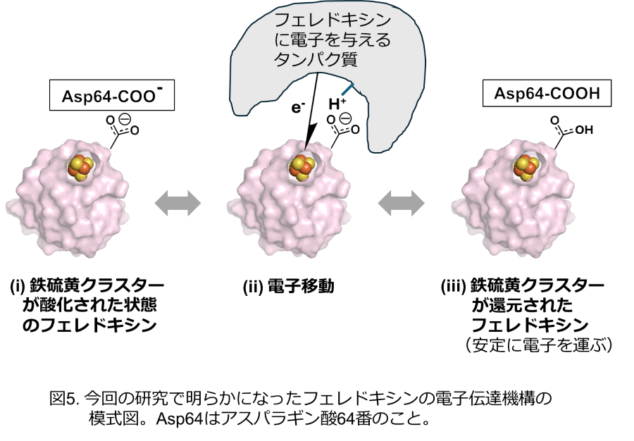 20241121_press-06.png