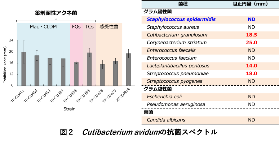 Avidumicin-2.png