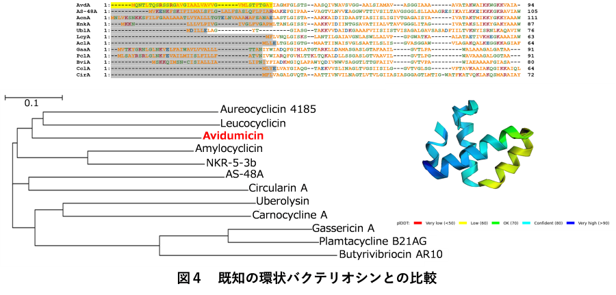 Avidumicin-4.png