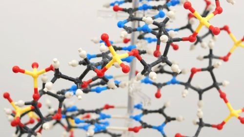 「研究者が語る 東薬の先端研究　『～構造生物学～　いのちの仕組みの理解と、創薬基盤』」を公開しました