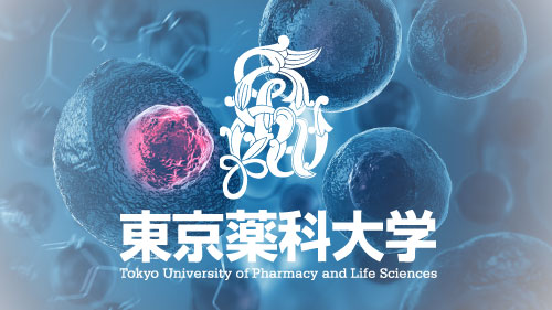 がん細胞の新たな薬剤耐性機構を発見～がん化学療法における薬剤耐性の克服に期待～｜プレスリリース