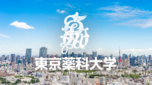 読売新聞 6月6日（月）朝刊に薬学部 益山光一 教授への取材記事が掲載されました