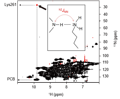 img05_20240826.png